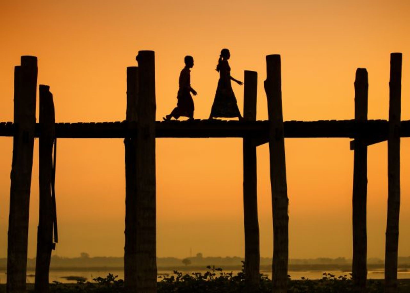 Results of the photographic competition 