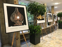 Photo exhibition 