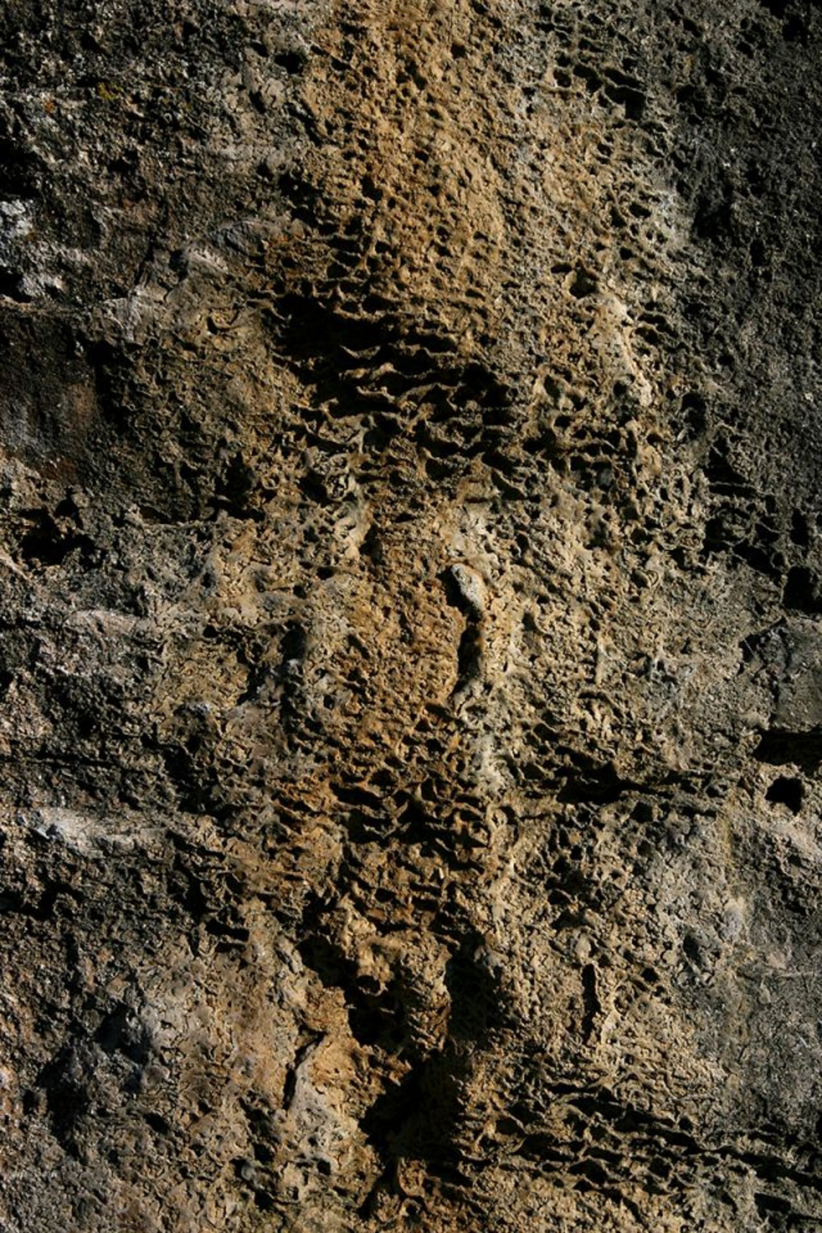 021.jpg