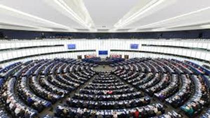 Информация за изборите за членове на Европейски парламент на Република България